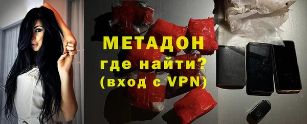 индика Алзамай