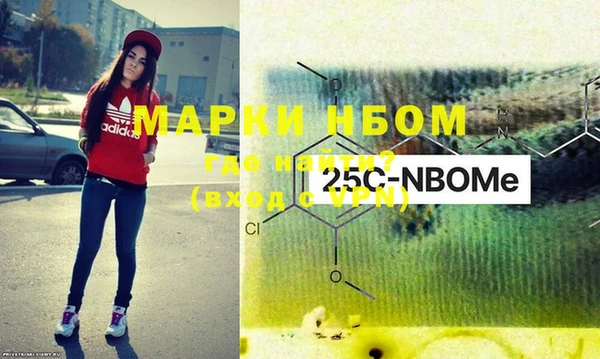 индика Алзамай