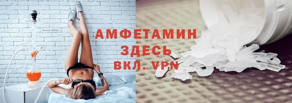 индика Алзамай
