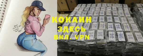 индика Алзамай