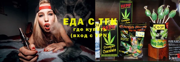 индика Алзамай