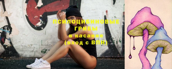 индика Алзамай