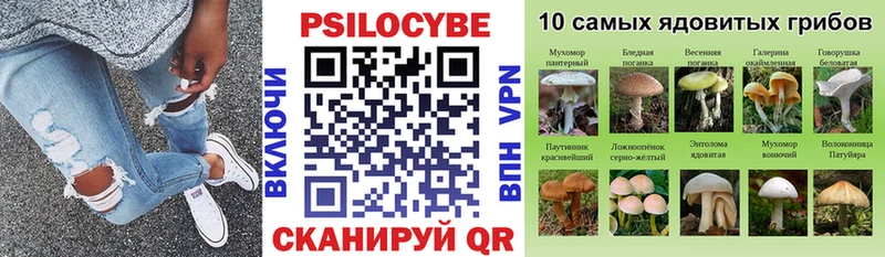 Галлюциногенные грибы прущие грибы  наркошоп  Сасово 